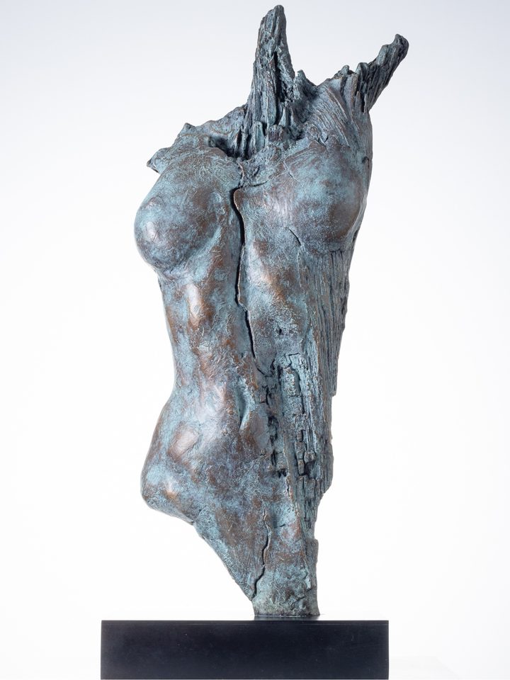 Broken Torso, a bronze by artist G